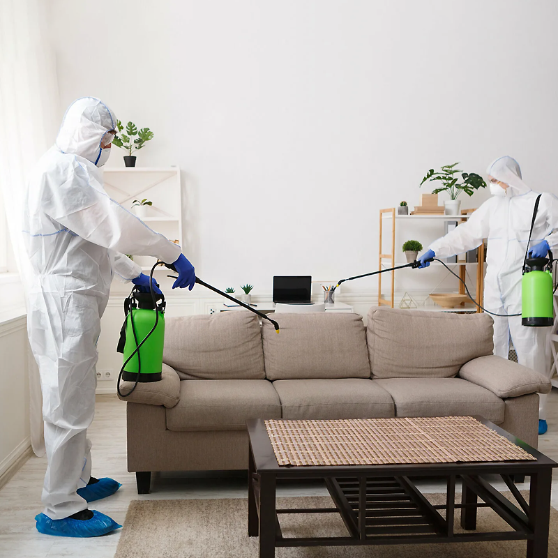 Professional pest inspection and targeted treatments for termites, rodents, cockroaches, and mosquitoes across Chennai