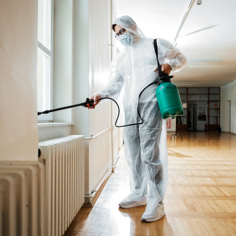 Residential pest control in Chennai with safe treatments for termites, cockroaches, rodents, mosquitoes, and bed bugs